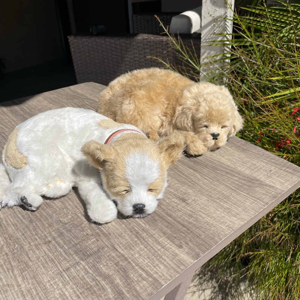 Vintage Perfect Petzzz Sleeping Puppy - Set of 2 Golden Retriever & Chihuahua